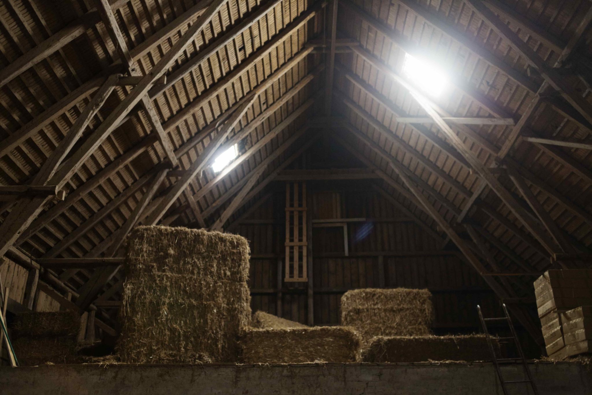 Should You Choose Spray Foam Insulation to Insulate Your Pole Barn